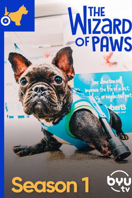 The Wizard of Paws