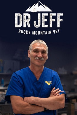 Veterinario en apuros