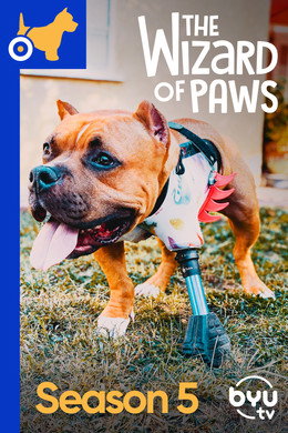 The Wizard of Paws