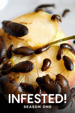 Infested