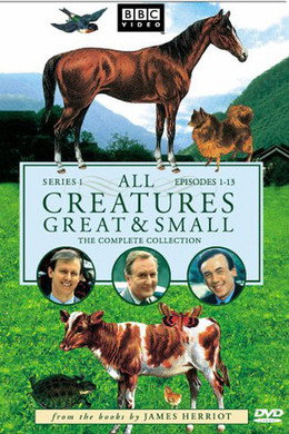 All Creatures Great and Small