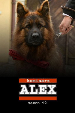 Komisarz Alex