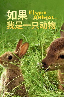 Si J'étais un animal