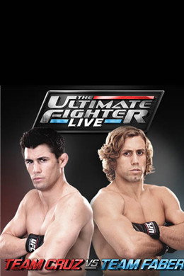 The Ultimate Fighter