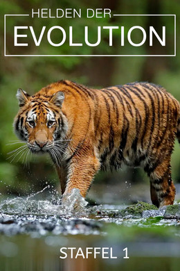 Just Animals