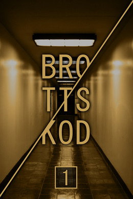 Brottskod