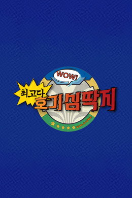 최고다! 호기심딱지