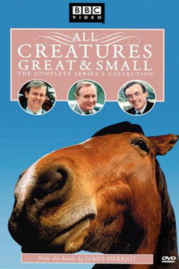All Creatures Great and Small