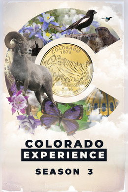 Colorado Experience
