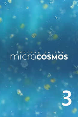 Journey to the Microcosmos