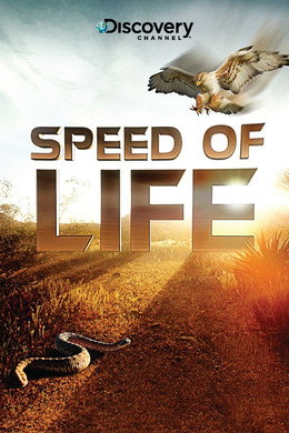 Speed of Life
