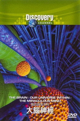 The Brain: Our Universe Within