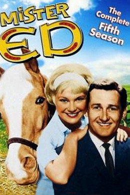 Mister Ed