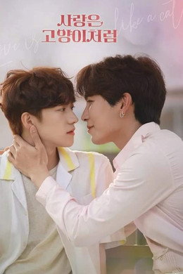 사랑은 고양이처럼