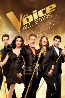 The Voice : La Plus Belle Voix