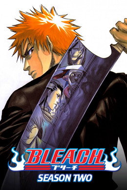 Concentrated Bleach