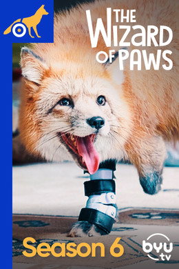 The Wizard of Paws