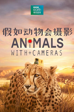 Animals with Cameras