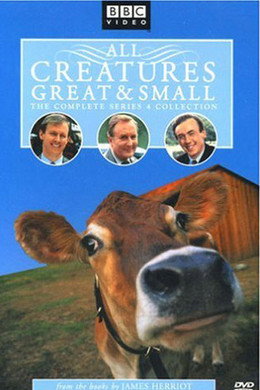 All Creatures Great and Small