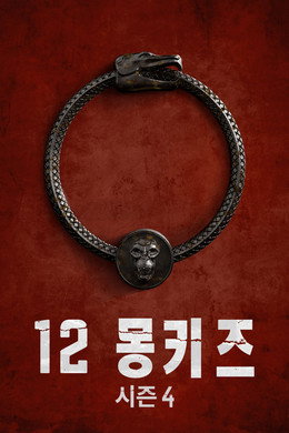 12 몽키즈