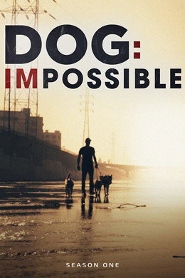 Dog: Impossible