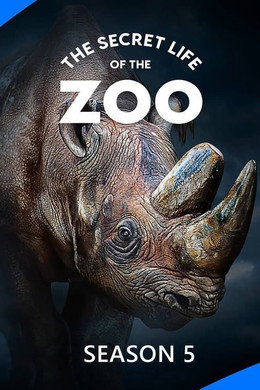 The Secret Life of the Zoo