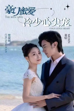豪门蜜爱：冷少心尖宠