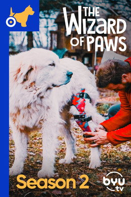 The Wizard of Paws