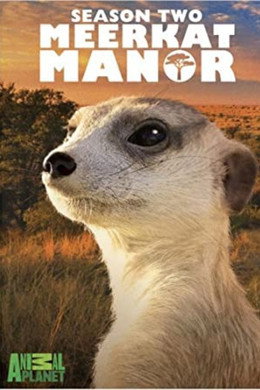 Meerkat Manor