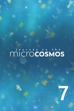 Journey to the Microcosmos