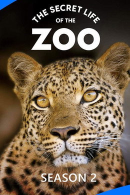 The Secret Life of the Zoo