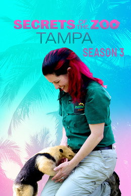 Secrets of the Zoo: Tampa