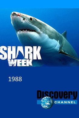 Shark Week