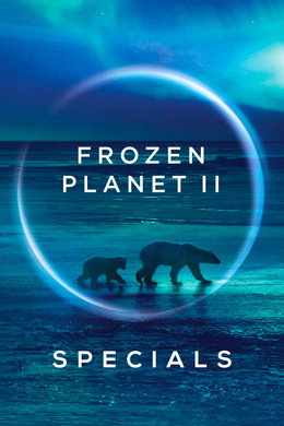 Frozen Planet II