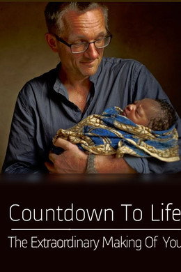 Countdown to Life: The Extraordinary Making of You