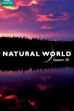 Natural World