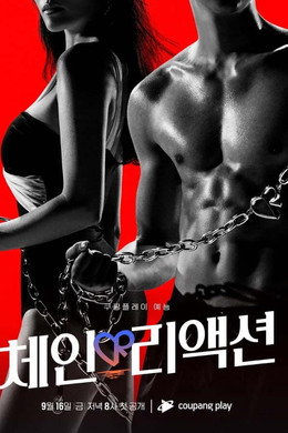 체인리액션