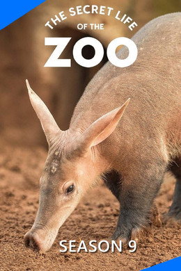 The Secret Life of the Zoo