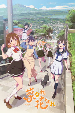 菜なれ花なれ