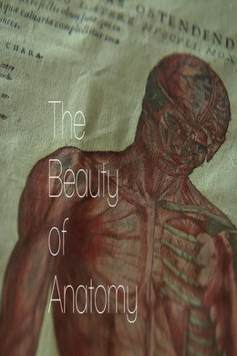 The Beauty of Anatomy