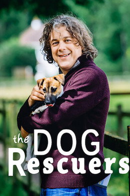 The Dog Rescuers with Alan Davies