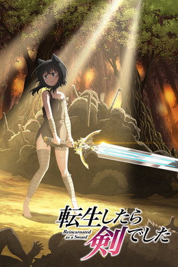 転生したら剣でした