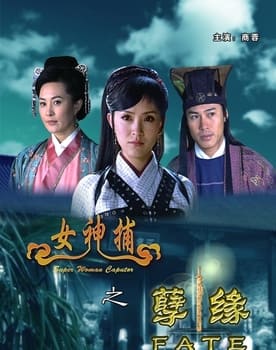 女神捕之孽缘 poster