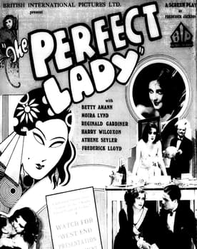 The Perfect Lady poster