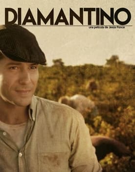 Diamantino poster