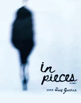 In Pieces poster