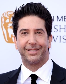 David Schwimmer