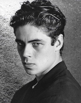 Benicio del Toro
