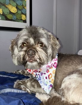 Cooper as Himself