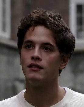 Lior David Cohen as Mattis